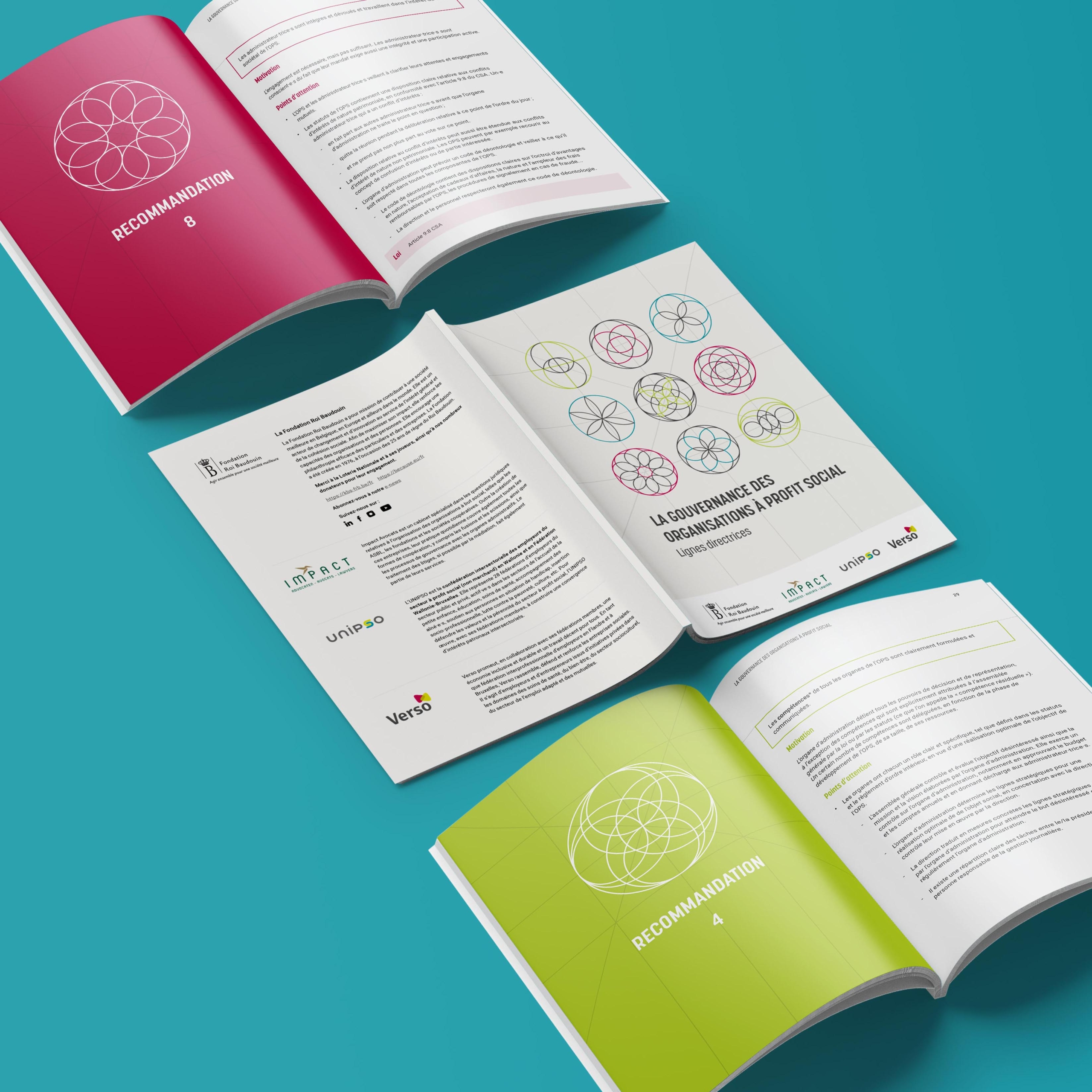 Fondation Roi Baudouin Brochure sur la gouvernance des organisations à profit social